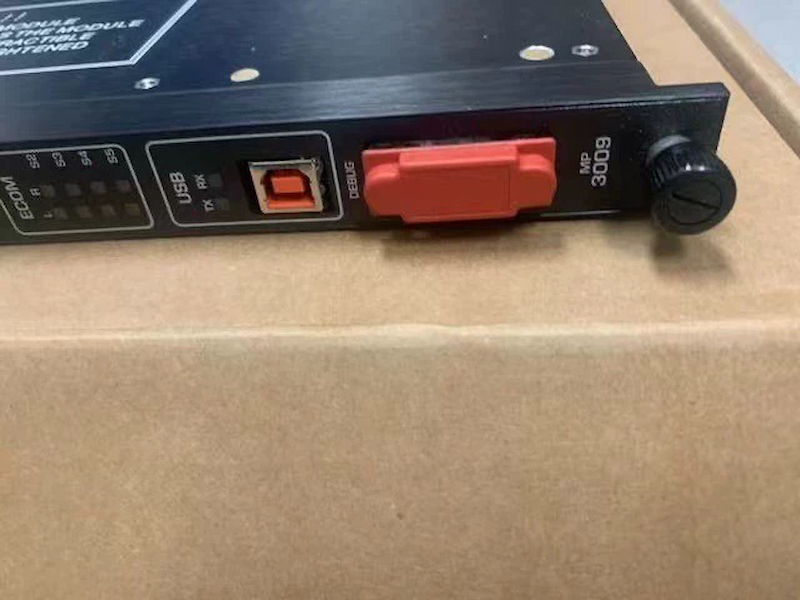Triconex 3009
